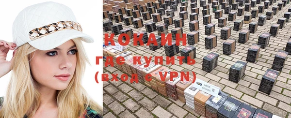 гашик Заводоуковск