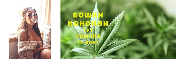 гашик Заводоуковск